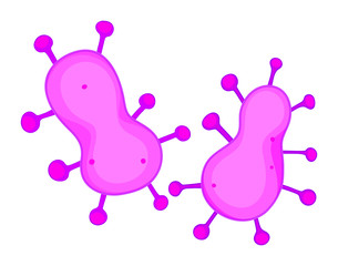 Bacteria in round shape