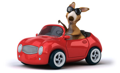 Fun kangaroo