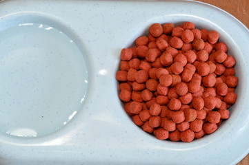 dog food and fresh water on double bowl