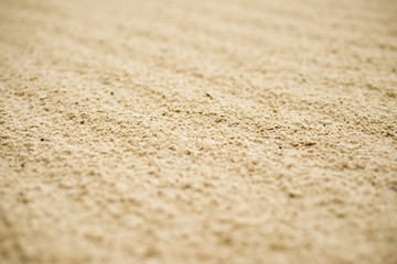 Sandy beach background for summer. Sand texture. Macro shot.