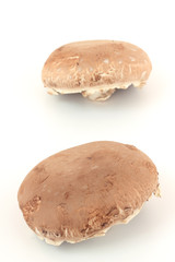 Two raw portobello mushrooms. Ready for cooking.
