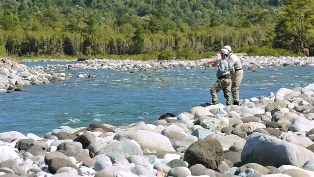 Guest and guide casting a fly fishing rod for trout on the Huequi River in Southern Chile.