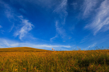 Fototapeta premium scenery of hulunbeir prairie china