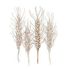 Obraz premium Sketch of bread