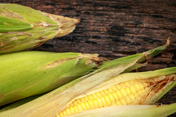 fresh corn put on wooden table