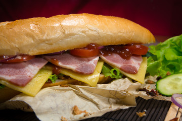 Long sandwich with meat, vegetables and barbecue sauce