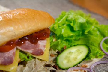 Long sandwich with meat, vegetables and barbecue sauce
