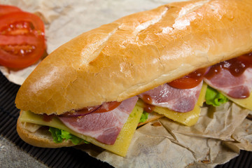 Long sandwich with meat, vegetables and barbecue sauce