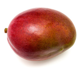 Mango fruit