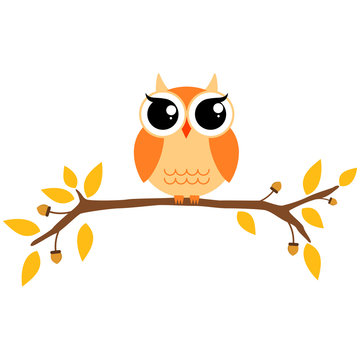 Autumn themed cute owl and branch
