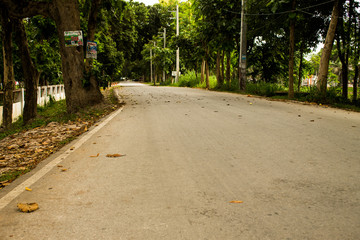 the garden road
