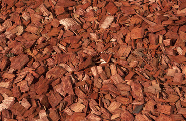 Red and orange wood chips texture.