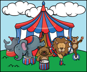 Animal circus safari