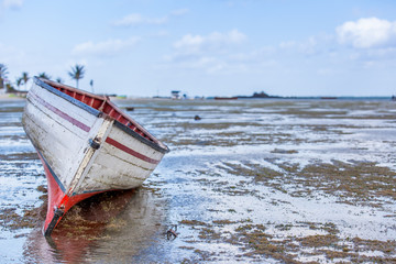 Anse Mourouk &agrave; mar&eacute;e basse, &icirc;le Rodrigues, Maurice 