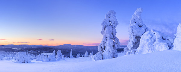 Fototapeta na wymiar Sunset over frozen trees on a mountain, Levi, Finnish Lapland