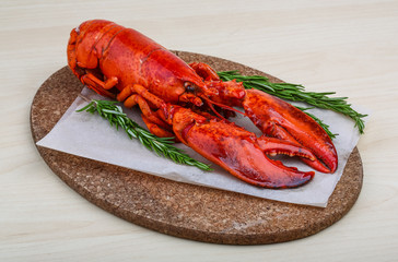 Lobster