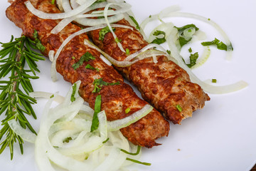 Kebab with onion rings