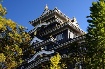 黒く輝く日本の城