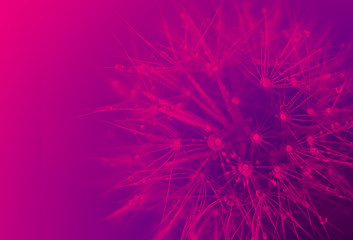 абстракция © iura270415