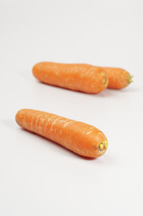 Fresh Carrots