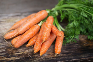 Carrot on wooden background