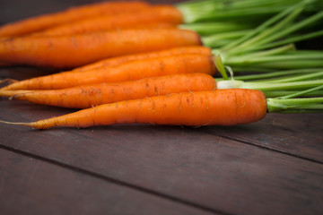 Carrot growing in the garden