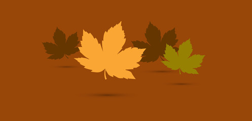 foglie, autunno, 