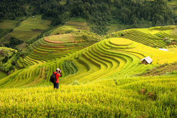 photographer take a picture of beautiful rice terrace view