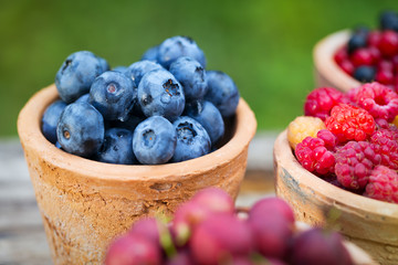 currant, raspberry, gooseberry, blueberry in garden