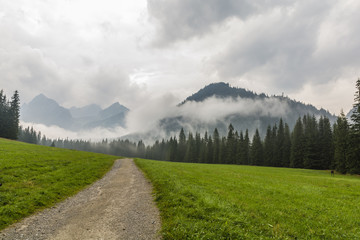 Mountain landscape after passing rain