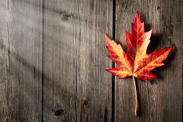 Naklejka na ściany i meble Autumn maple leaf over wooden background