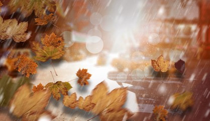 Composite image of autumn leaves