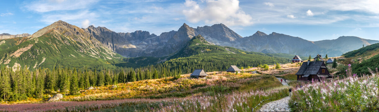 Fototapeta Hala Gasienicowa in Tatra Mountains - panorama