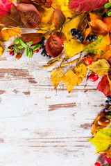Naklejka na ściany i meble Autumn fall leaves background