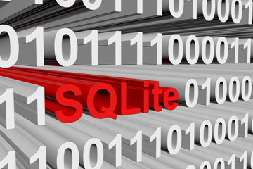 SQLite is presented in the form of binary code