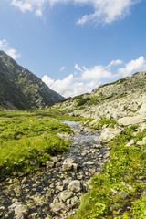 Stream in the valley