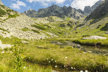 Valley in Tatra Mountains - Dolina Zlomisk (Zlomiska, Zlomiskova dolina, Zlomiska, dolina Zlomisk)