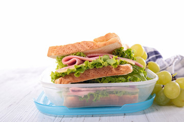 lunch box,sandwich school lunch