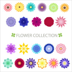 Flower Collection