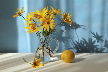 Jerusalem artichoke flowers and lemon on blue background