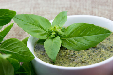 Pesto sauce and basil leaves closeup