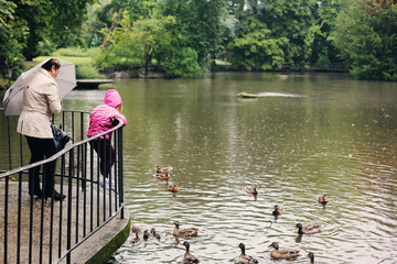 grandmother walking with kids in the rainy day