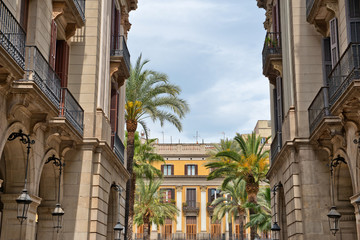 Naklejka premium Historical Buildings and Palm Trees In Placa Reial