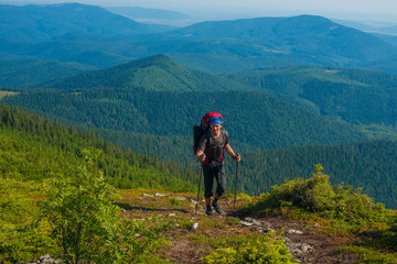 Fototapeta na wymiar Hiker with trekking poles rises to the top.
