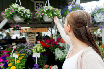 woman choosing flowers at street market