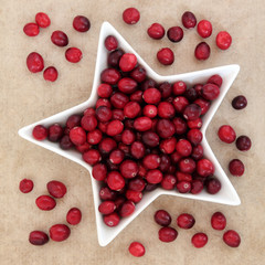 Cranberry Fruit