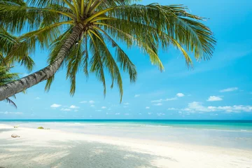 Fototapete Strand und Meer Schöne Kokospalme am tropischen Strand, Thailand