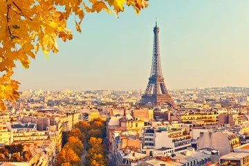 Poster de jardin Paris Vue sur la tour Eiffel au coucher du soleil