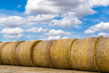 Yellow Round Straw Bales and Blue Sky