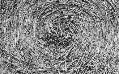 Closeup of a Yellow Round Straw Bale